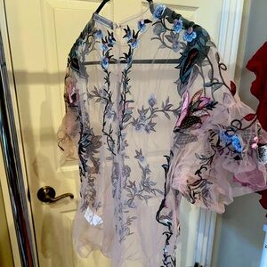 Zara embroidered  blush colored sheer top